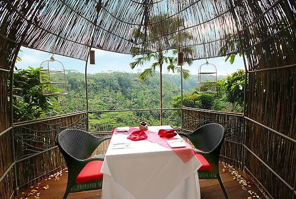 Bird Nest Dining at KUPU KUPU BARONG Villas in Ubud