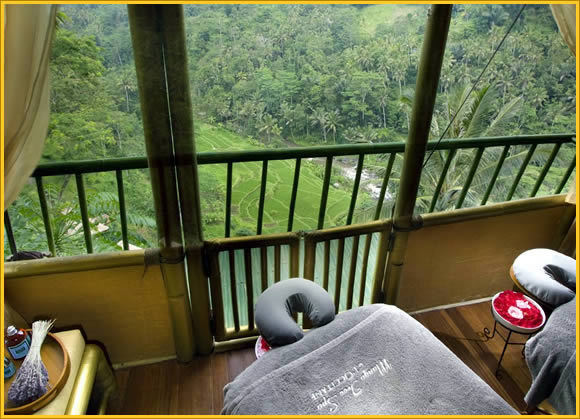 tree spa with view at mango tree spa